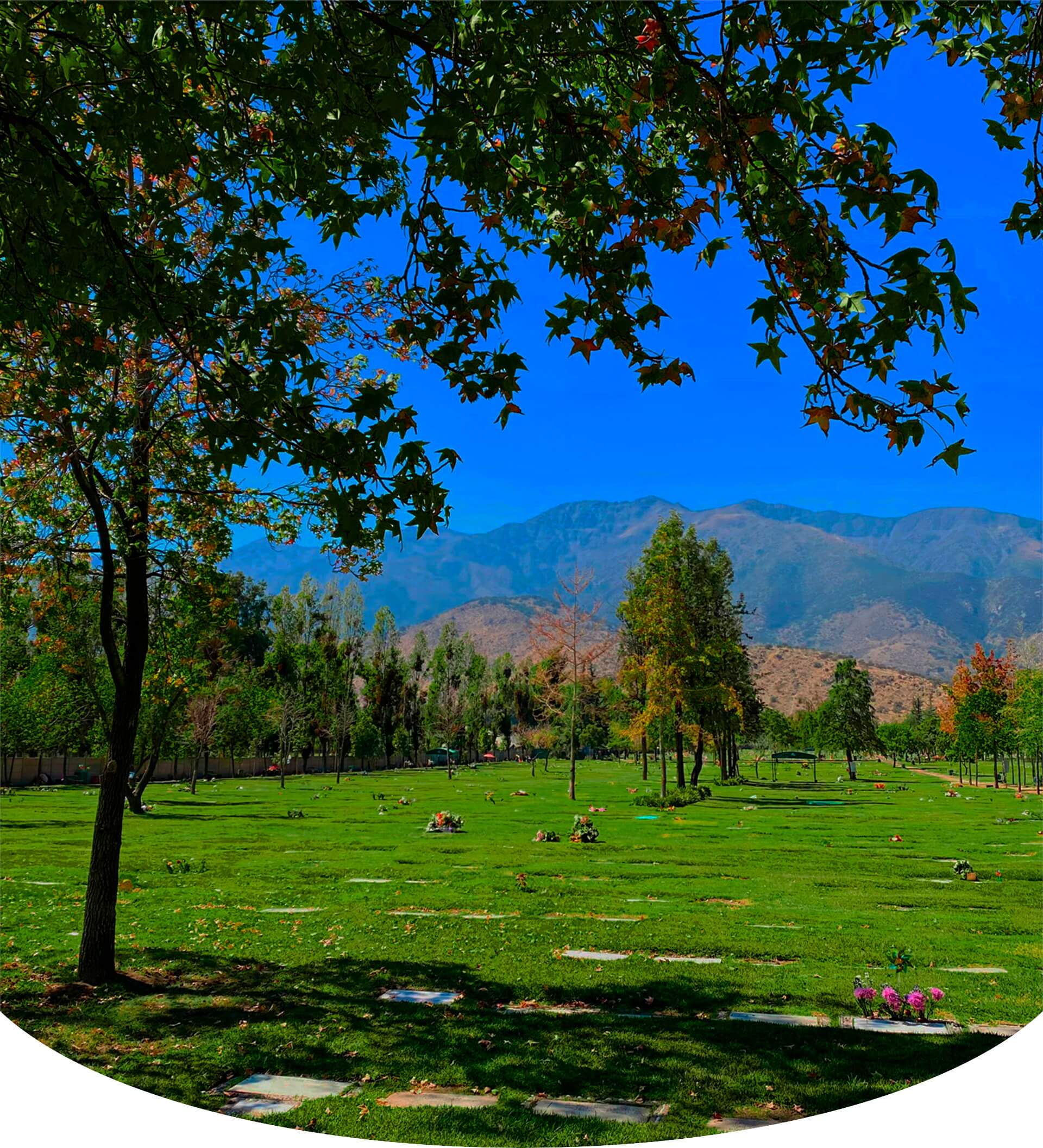 Parque El Prado fondo