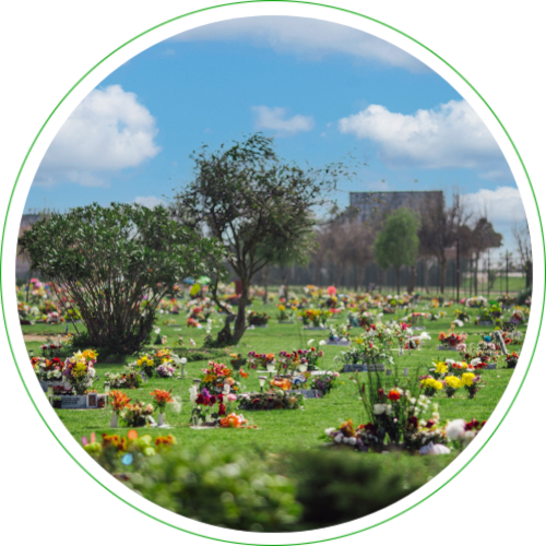 Parque La Foresta paz y tranquilidad