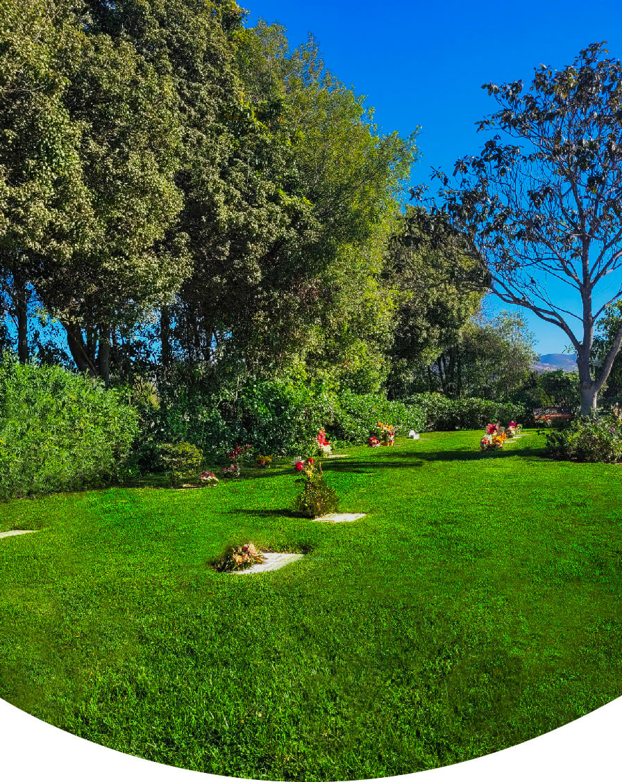 Parque La Foresta fondo