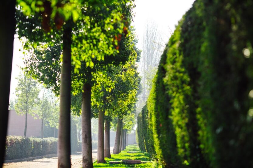 Nuestros Parques Cementerios