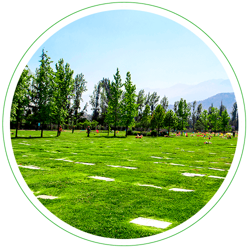 Nuestros Parques hermoso paisajismo