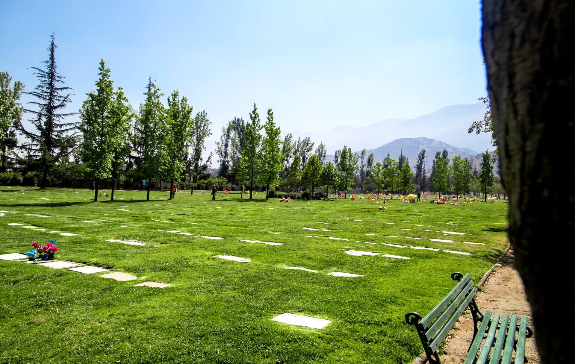 Nuestros Parques fondo contacto