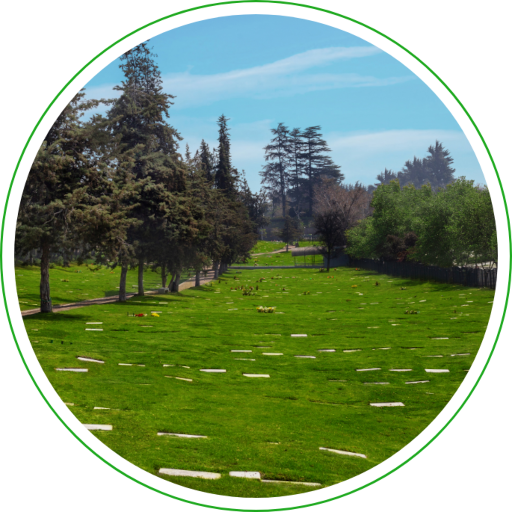 Parque Santiago hermoso paisajismo