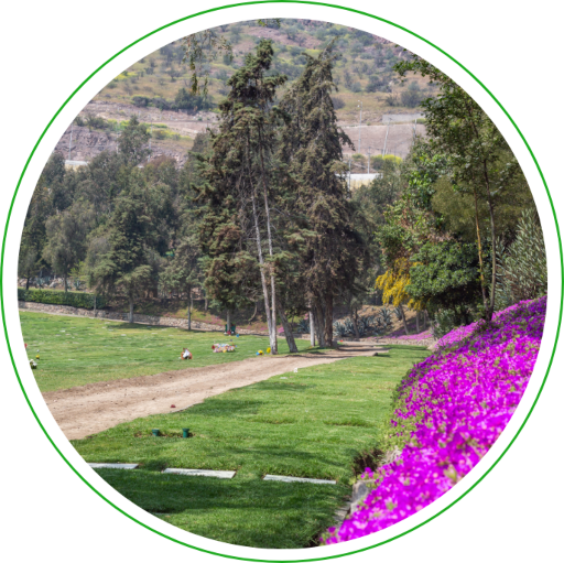 Parque Santiago paz y tranquilidad