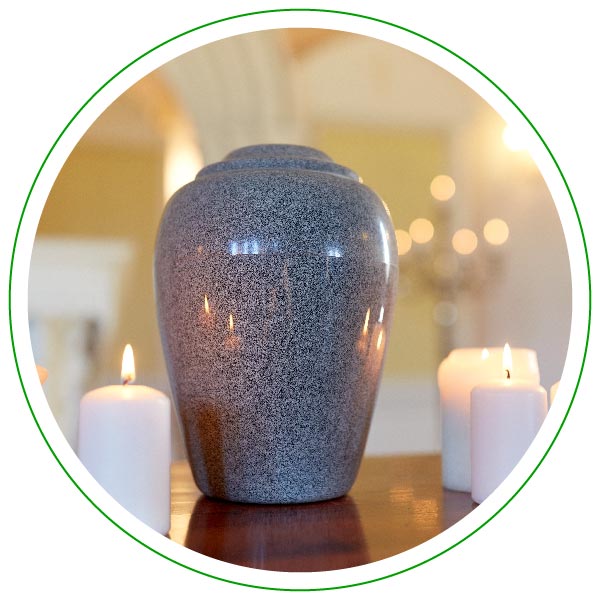 cinerario nuestros parques