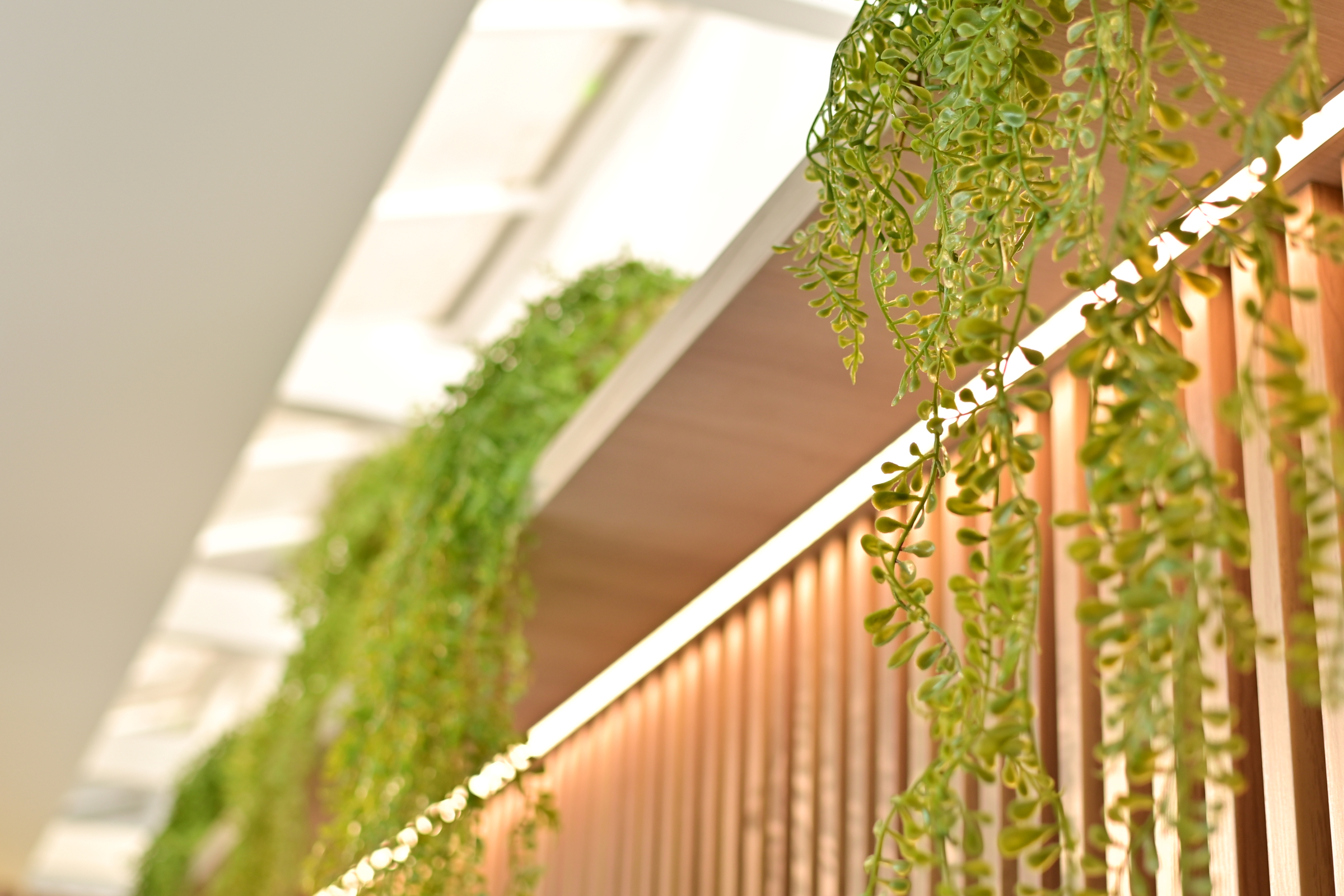 Funeraria Nuestros Parques