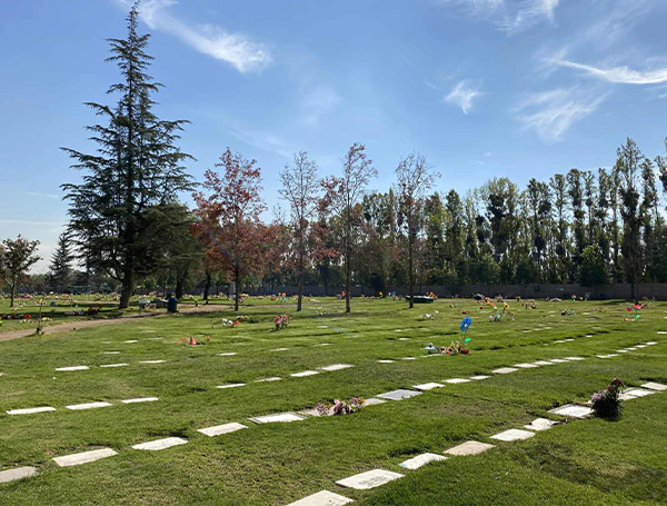 imagen parque cementerio